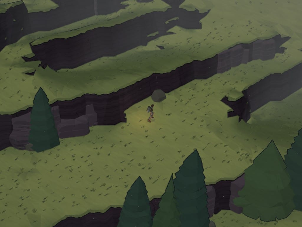 A grove at dawn without mist: terraces, pines and the explorer, all crisp