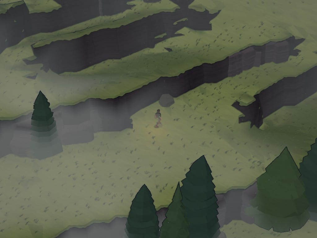 The same grove at dawn with mist pooled between the trees