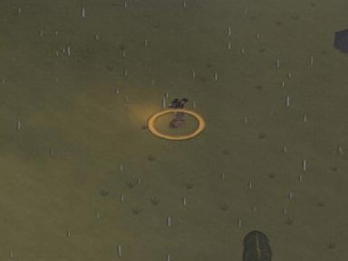 Seen from above in the rain, the explorer crouched inside an amber ring
